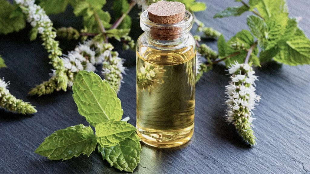 Paper Mint Fragrance 20ml