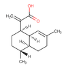 Lanolin - Anhydrous