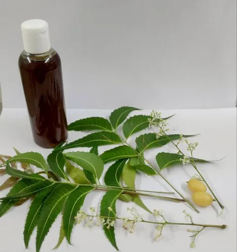 Neem Extract 100ml