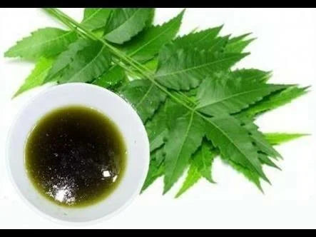 Neem Extract 100ml