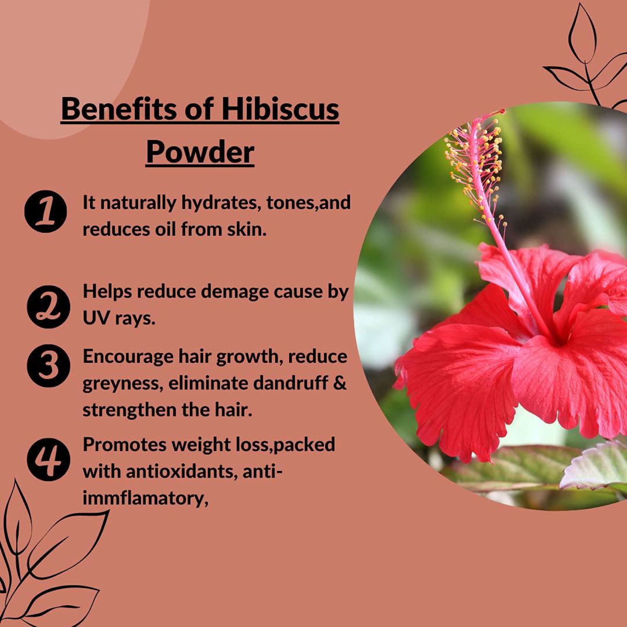 Hibiscus Flower Powder